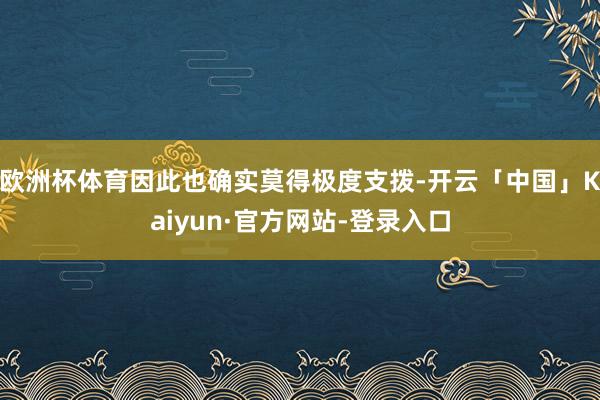 欧洲杯体育因此也确实莫得极度支拨-开云「中国」Kaiyun·官方网站-登录入口