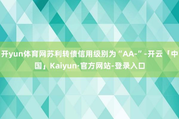 开yun体育网苏利转债信用级别为“AA-”-开云「中国」Kaiyun·官方网站-登录入口