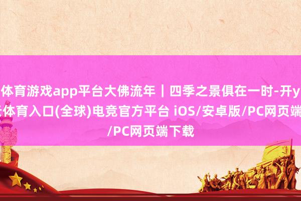 体育游戏app平台大佛流年｜四季之景俱在一时-开yun云体育入口(全球)电竞官方平台 iOS/安卓版/PC网页端下载
